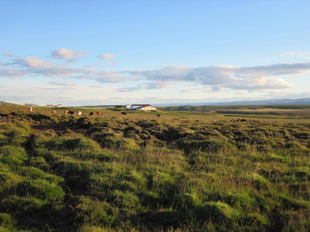 Skogar Sunset Guesthouse Húsavík Екстериор снимка